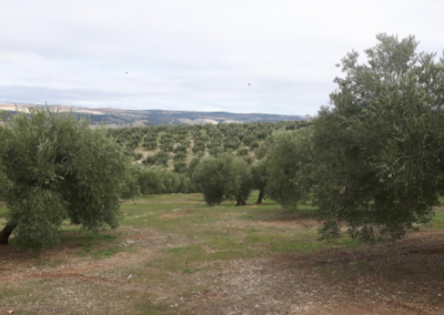 Estudio de Impacto Ambiental para tramitar una Autorización Ambiental Unificada. Perforación para abastecimiento de agua en Piñar (Granada)