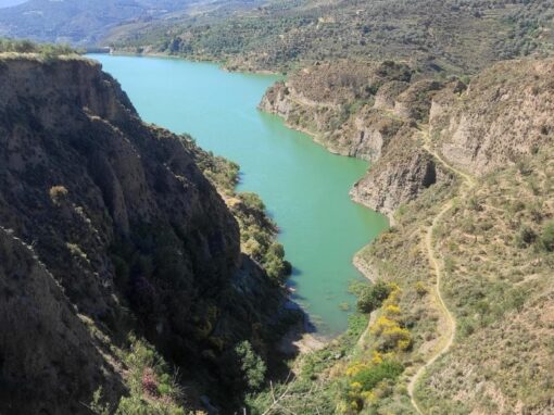 Estudio Geotécnico para Estabilización de taludes en Camino del Embalse de Beznar (Granada)